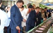 Празднования, посвященные 230-летию Симферополя