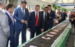 Празднования, посвященные 230-летию Симферополя