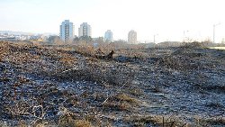 Афера с песчаными дюнами в Несебре