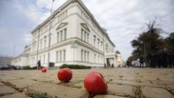 Протестующие забрасывали здание парламента яйцами и помидорами