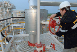 Вице-президент РАН возглавил совет директоров Роснефти