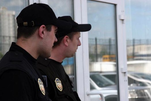 СовФед разрешил частным охранникам применять физическую силу