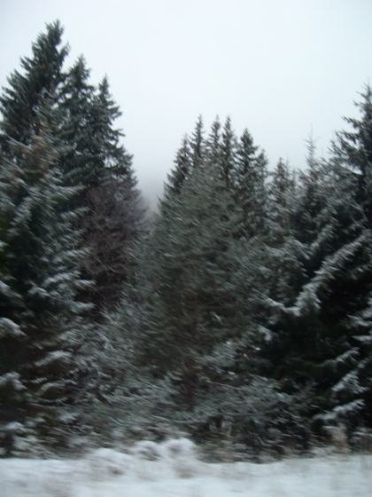 Bulgaria-Rodopi_1