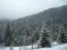 Bulgaria-Rodopi_5