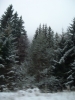 Bulgaria-Rodopi_1