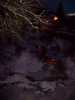 Bulgaria-Rodopi_1