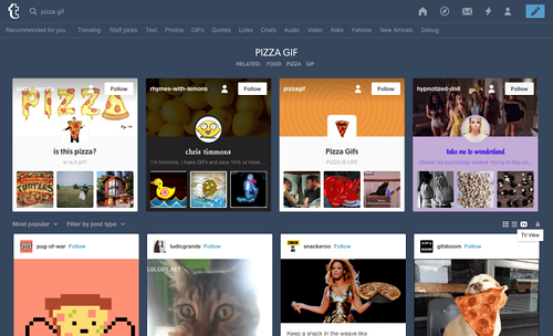 Tumblr запускает поисковую систему по GIF-изображениям